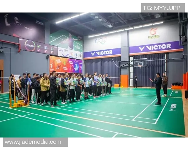 南京羽毛球队精英赛之路：拼搏与荣耀的奋斗历程揭秘