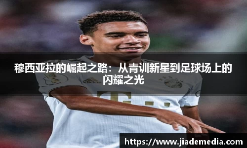 星空.综合体育(中国)官方网站