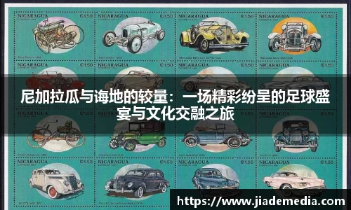 星空.综合体育官网
