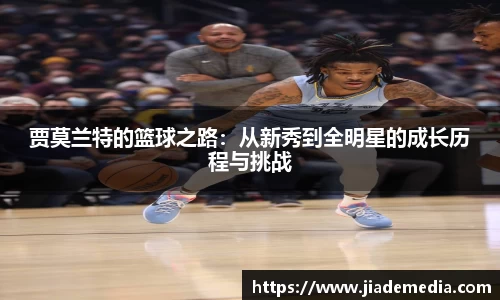 星空.综合体育官网